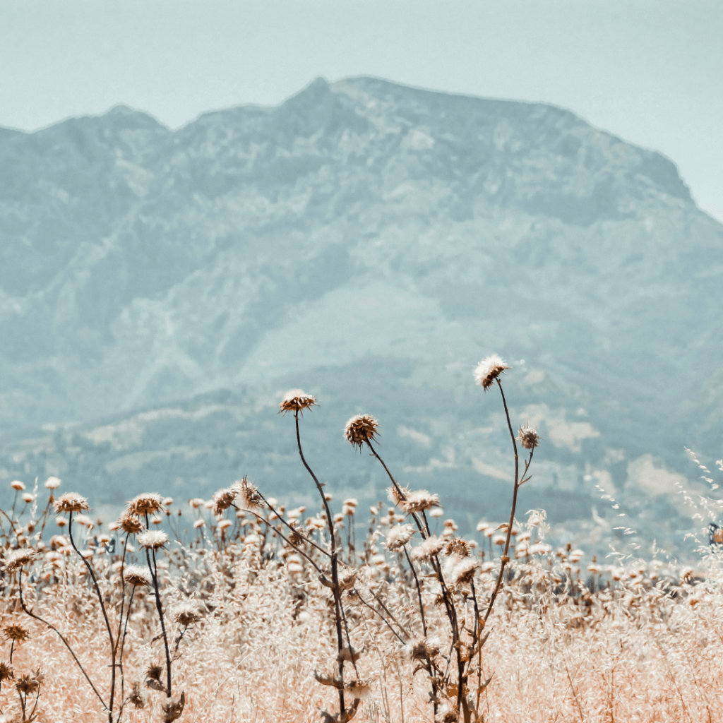 Quote of the&nbsp;Night